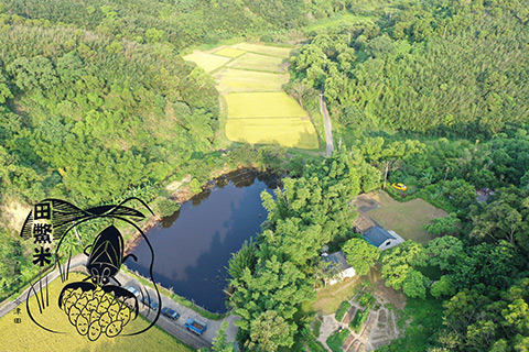 田鱉埤塘谷津田