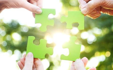 拼圖蒐集總動員